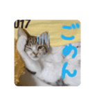 ミイナ挨拶スタンプ（個別スタンプ：4）
