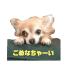 ぼくのなまえはとの！（個別スタンプ：7）