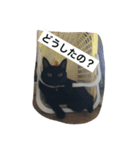 黒猫AI（個別スタンプ：1）