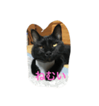 黒猫AI（個別スタンプ：2）
