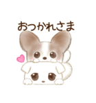 チワワとマルチーズのミックス犬まめたくん（個別スタンプ：4）