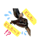 kokopelli1113-5（個別スタンプ：7）