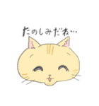 ねこのこどもすたんぷ（個別スタンプ：12）
