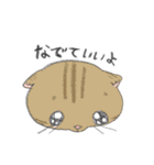 ねこのこどもすたんぷ（個別スタンプ：39）