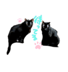 ねこちゃんたち。（個別スタンプ：4）
