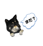 くるみのくぅちゃんスタンプ（個別スタンプ：5）