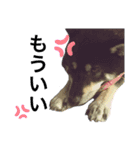 くるみのくぅちゃんスタンプ（個別スタンプ：8）