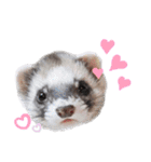 フェレットぽてと☆ferret☆（個別スタンプ：4）