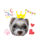 フェレットぽてと☆ferret☆（個別スタンプ：16）