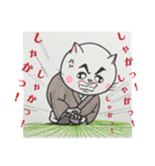 ねことらんでぶー ③（個別スタンプ：1）