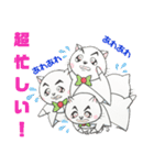 ねことらんでぶー ③（個別スタンプ：33）