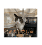 ベル＆ミー＆ポー（個別スタンプ：2）