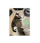 ベル＆ミー＆ポー（個別スタンプ：4）