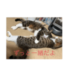 ベル＆ミー＆ポー（個別スタンプ：5）