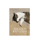 ベル＆ミー＆ポー（個別スタンプ：7）