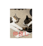 ベル＆ミー＆ポー（個別スタンプ：9）