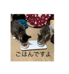 ベル＆ミー＆ポー（個別スタンプ：10）