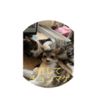 ベル＆ミー＆ポー（個別スタンプ：12）