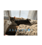 ベル＆ミー＆ポー（個別スタンプ：13）