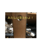ベル＆ミー＆ポー（個別スタンプ：16）