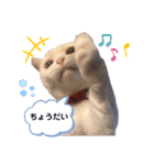 にゃたお②（個別スタンプ：16）