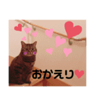 マンチカン（タロ助）の日常①（個別スタンプ：7）