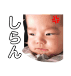 yちびーず202002（個別スタンプ：14）