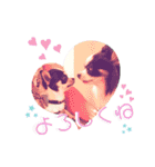 ずちゃんぷ。（個別スタンプ：11）