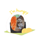 愛犬らてちゃん2（個別スタンプ：9）