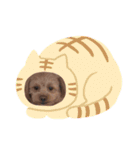 愛犬らてちゃん2（個別スタンプ：12）