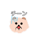 くま。くま。（個別スタンプ：10）