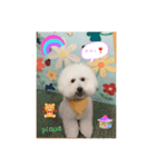 ピケその2（個別スタンプ：6）