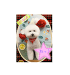 ピケその2（個別スタンプ：8）
