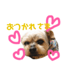 スタンプりゅうくん3（個別スタンプ：6）