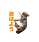 スタンプりゅうくん3（個別スタンプ：8）