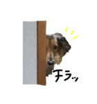 よんた（個別スタンプ：2）
