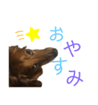 だいごろうの優しいスタンプ（個別スタンプ：5）