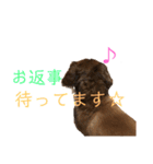だいごろうの優しいスタンプ（個別スタンプ：7）