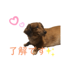 だいごろうの優しいスタンプ（個別スタンプ：8）