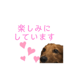 だいごろうの優しいスタンプ（個別スタンプ：15）