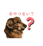 だいごろうの優しいスタンプ（個別スタンプ：16）
