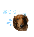だいごろうの優しいスタンプ（個別スタンプ：18）