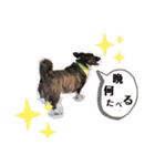 コーギーカーディガン コーギーミックス犬（個別スタンプ：4）