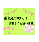 キラキラa1（個別スタンプ：4）