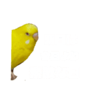 インコのMAXくん2（個別スタンプ：7）