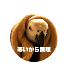 シュールピクチャー（個別スタンプ：1）
