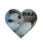 Love  ANCYU（個別スタンプ：1）