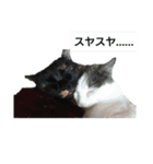 Love  ANCYU（個別スタンプ：5）