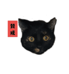 Love  ANCYU（個別スタンプ：17）