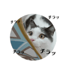 Love  ANCYU（個別スタンプ：28）